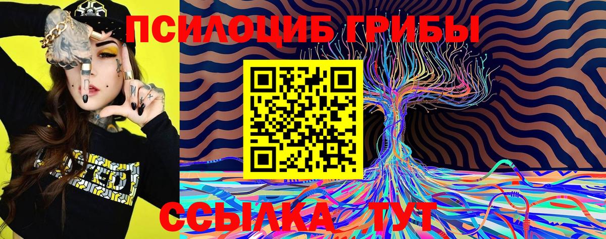 Псилоцибиновые грибы GOLDEN TEACHER Джанкой